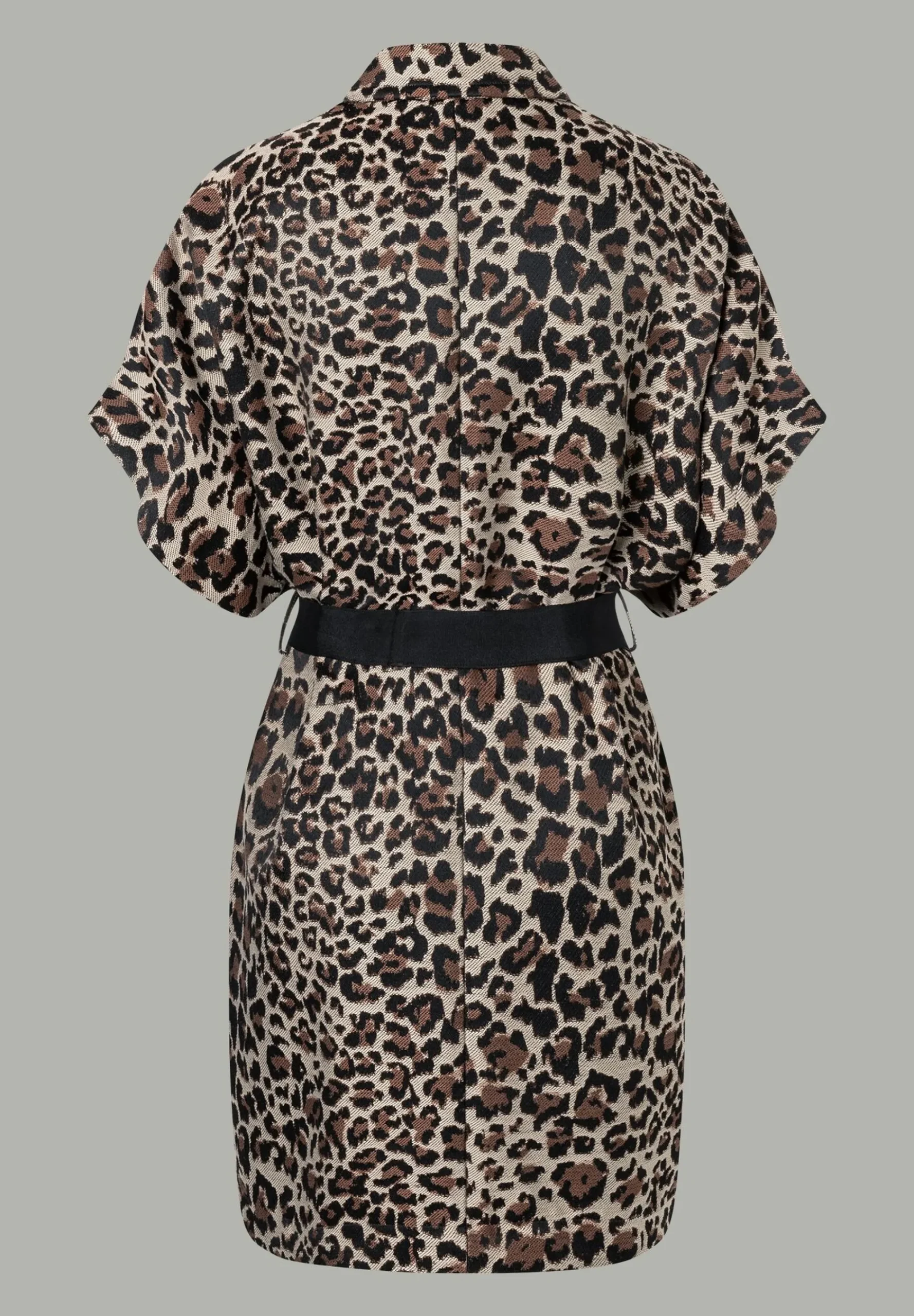 Online Leo-Jacke mit Gürtel, MORE Jacken - Mäntel|Blazer